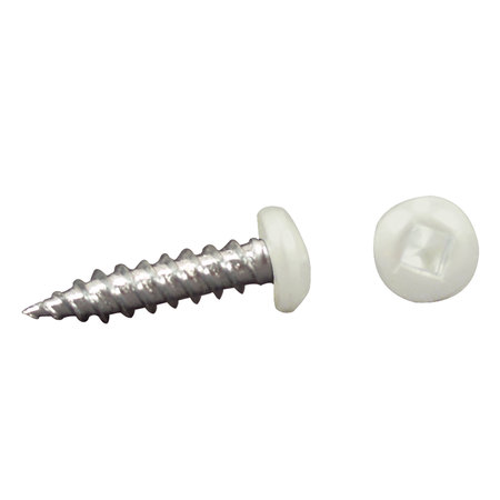 AP PRODUCTS AP Products 012-PSQ50 8 X 1 Pan Head Square Recess Screw, Pack of 50 - 1", White 012-PSQ50 W 8 X 1